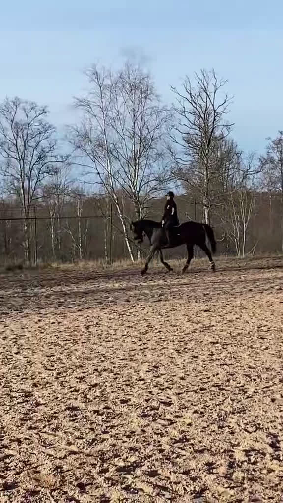 Allround hästar sökes: Bästavän sökes🥰 i Jönköping - Video 2