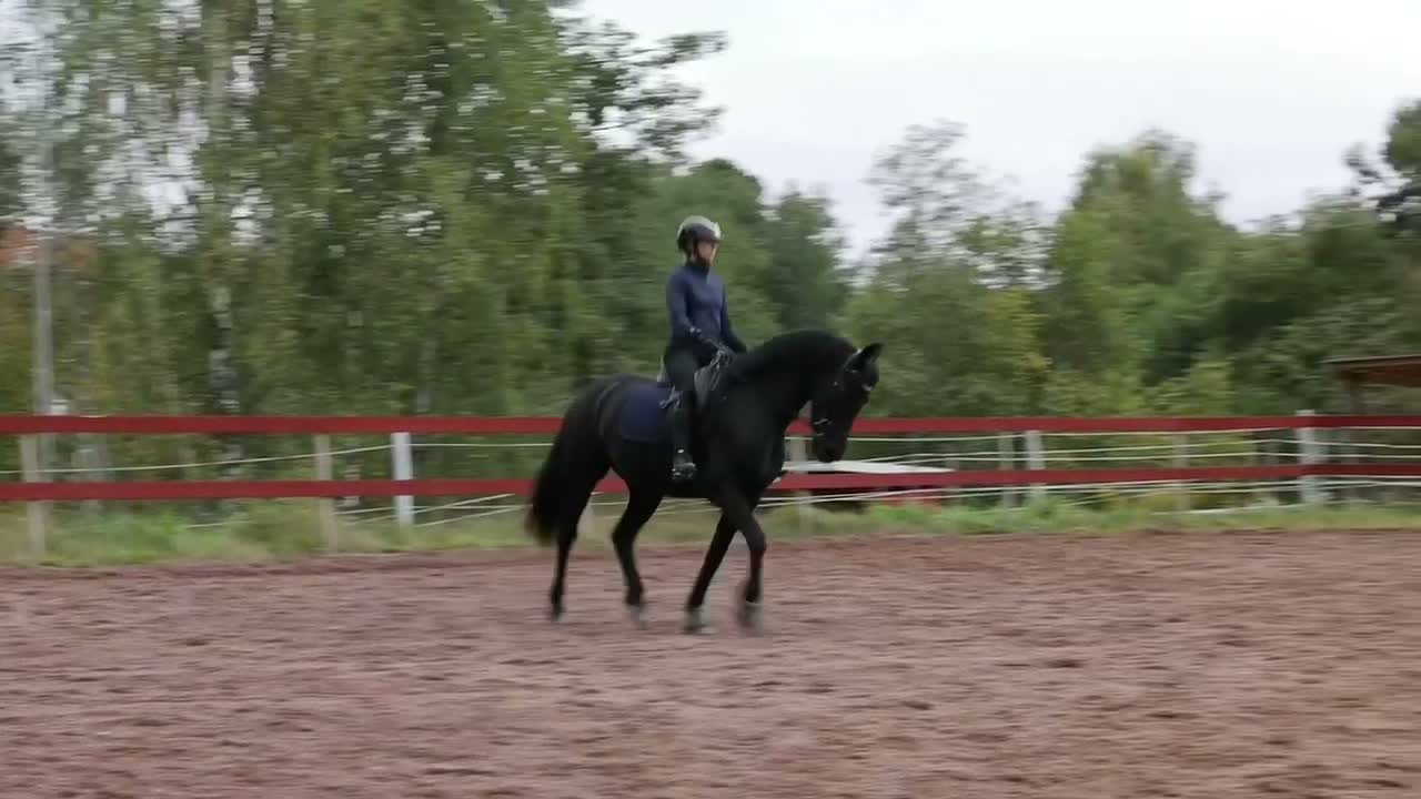Allround hästar till salu: Svart pärla söker nytt hem 🖤 i Borlänge - Video 1
