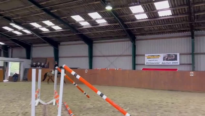 Fälttävlan hästar till salu: Lovande unghäst i Vagnhärad - Video 4