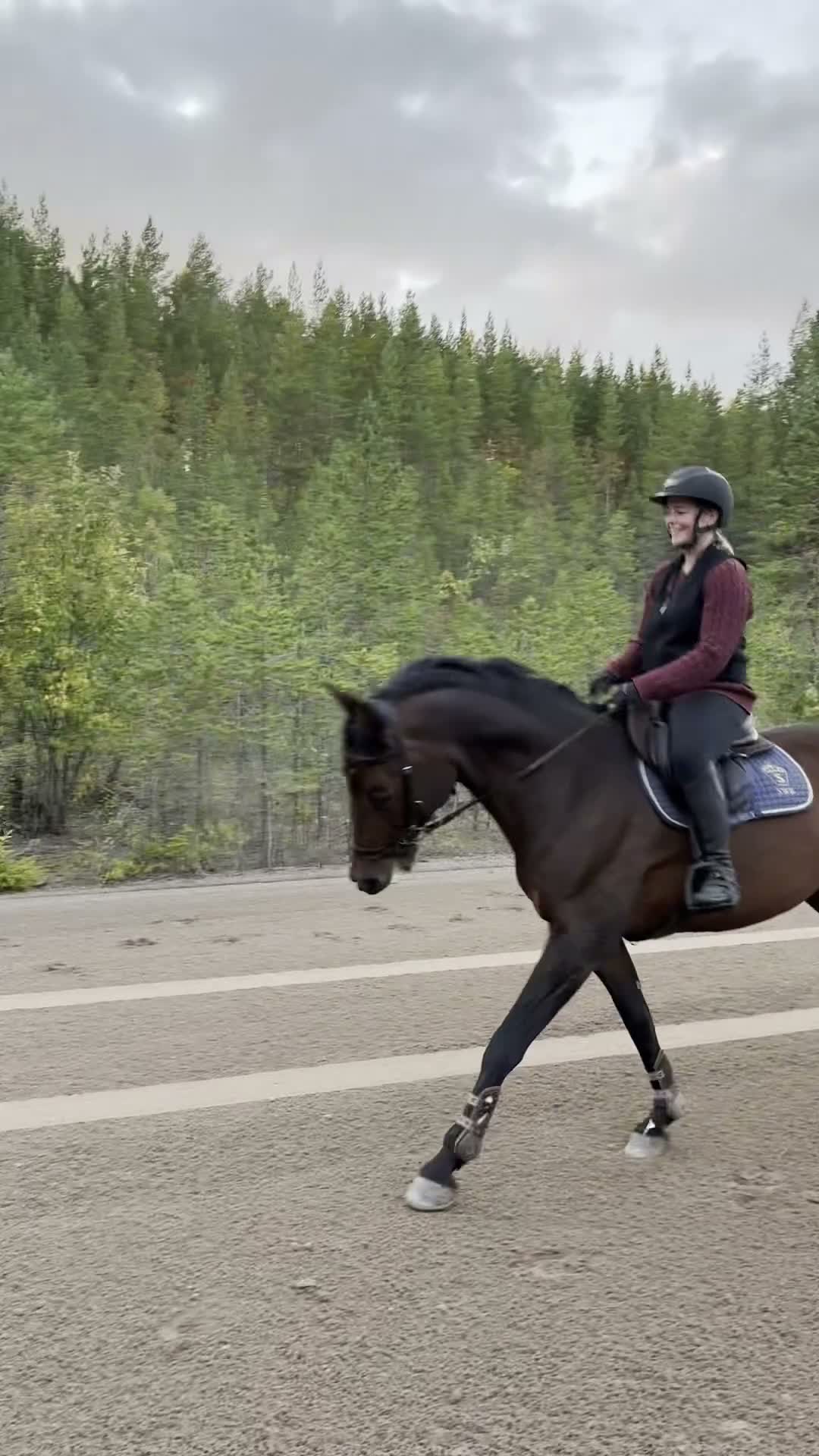 Allround hästar till salu: Trygg och okomplicerad läromästare i Älvkarleby - Video 3