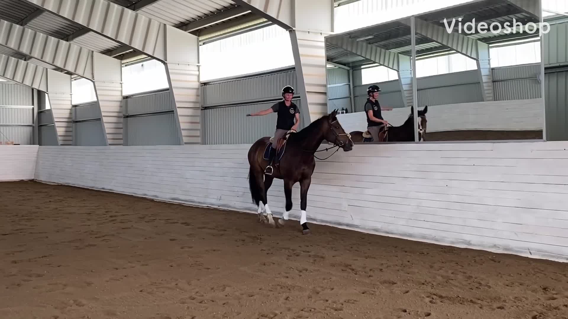 Hoppning hästar till salu: Snygg och cool 4åring med superbra psyke! - Video 3