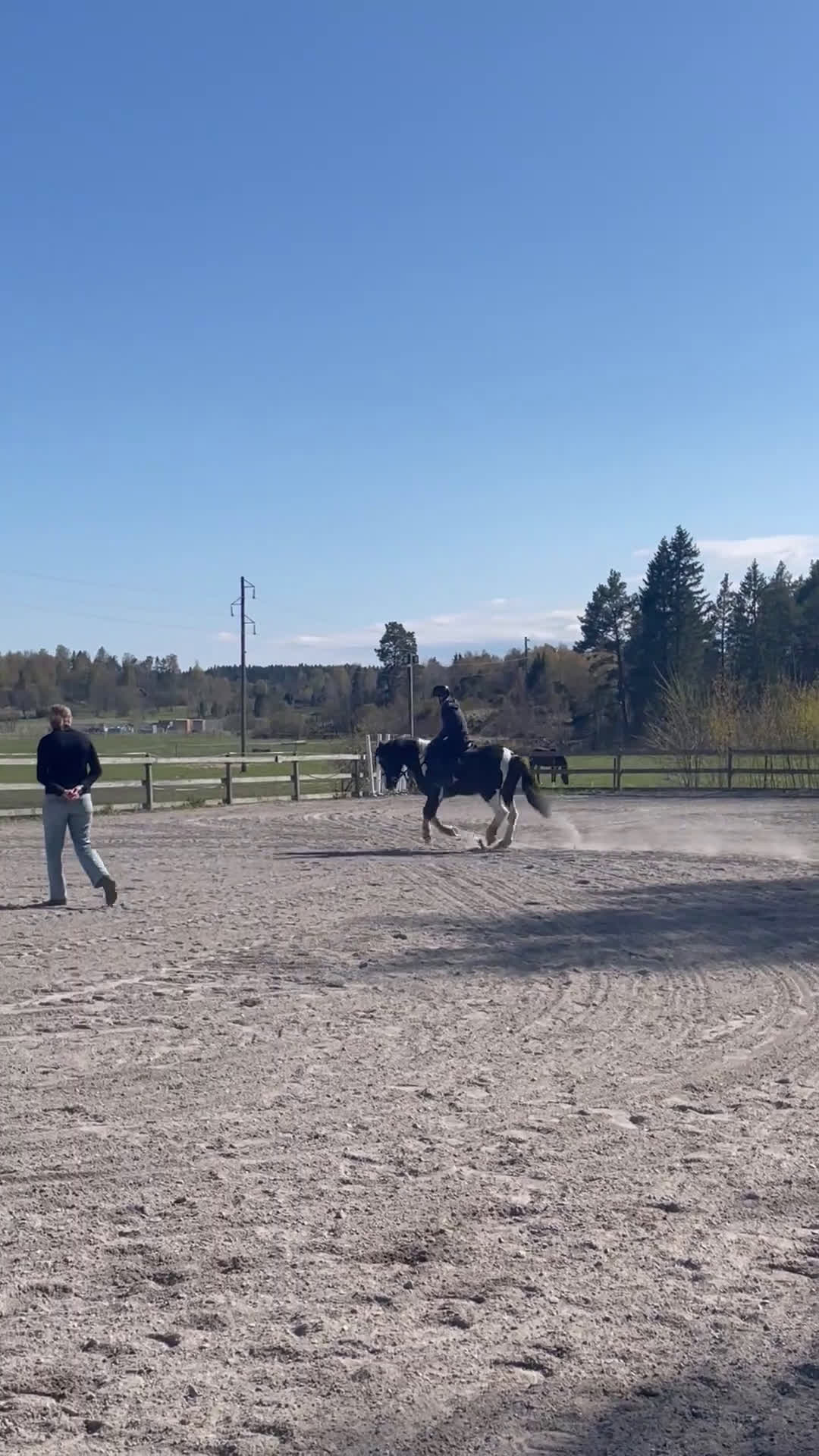 Allround hästar till salu: Teddy söker nytt 🏠 i Hallstavik - Video 4