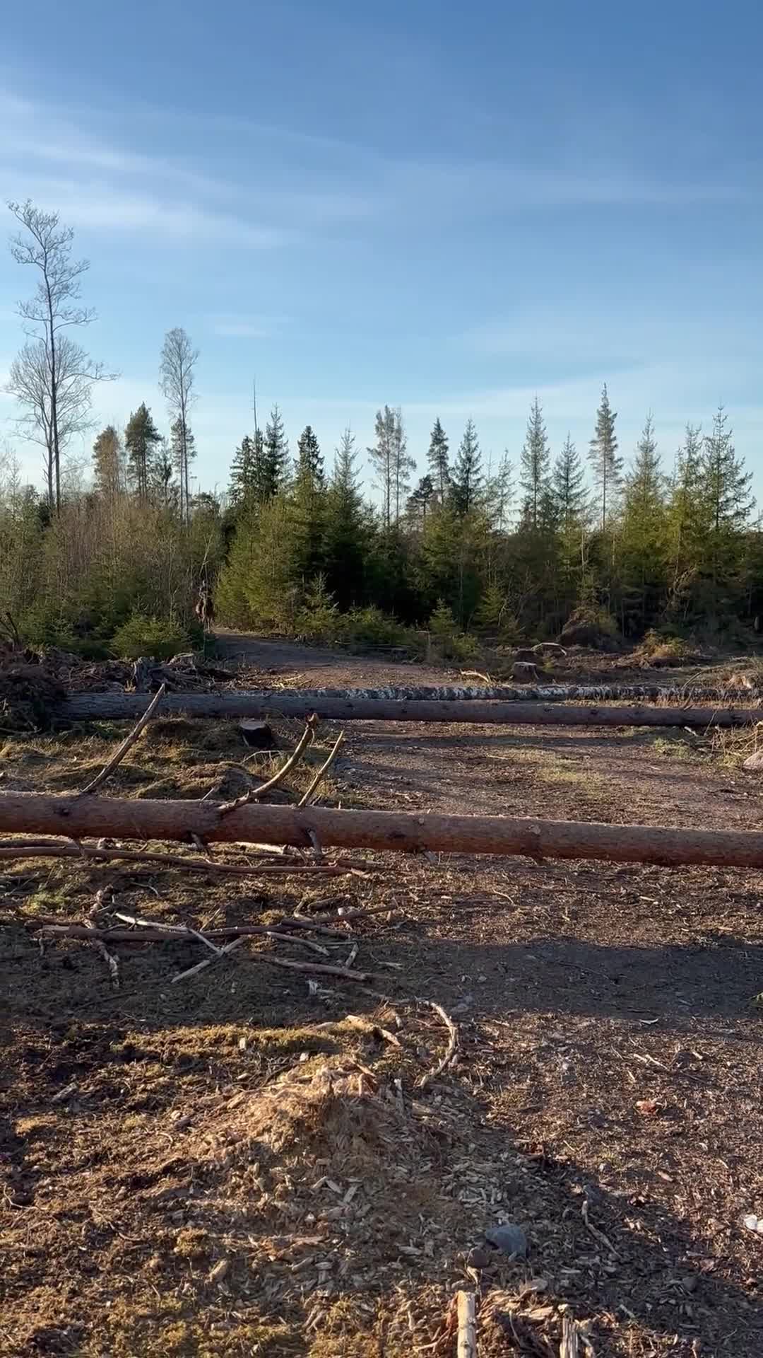 Allround hästar till salu: Fantastisk  läromästare - Video 2