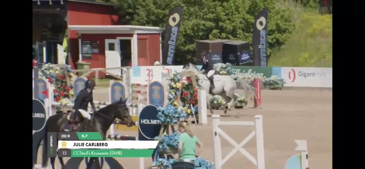 Hoppning hästar till salu: Rutinerat Tävlingsto - Video 3