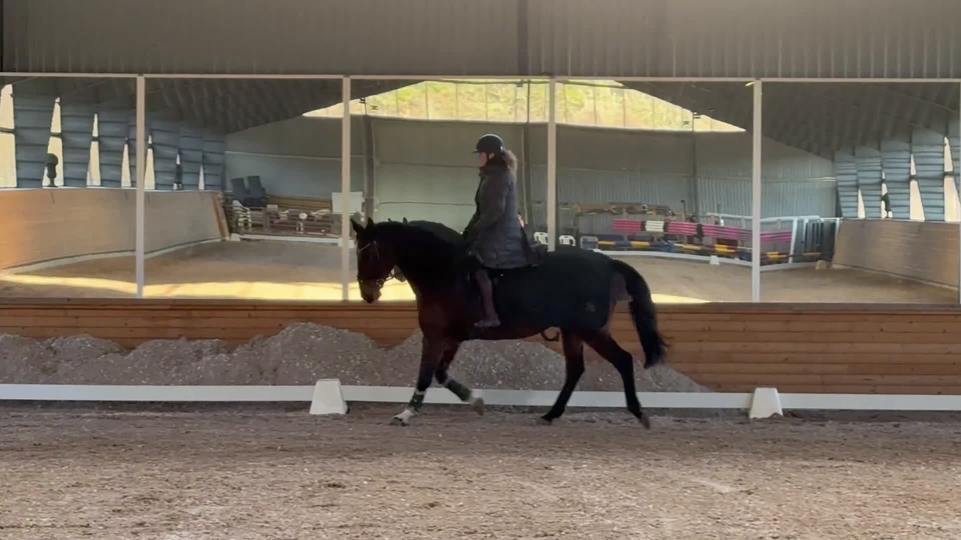 Allround hästar sökes: Sto söker bästavän/ryttare i Uddevalla - Video 3