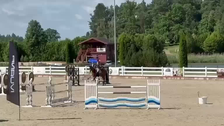 Hoppning hästar till salu: Underbar valack med potential & utstrålning! - Video 4