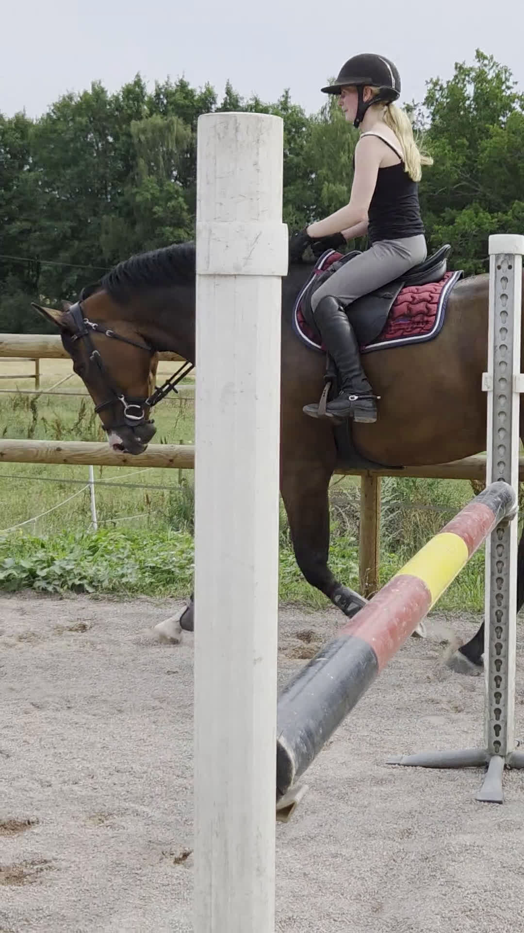 Allround hästar till salu: Balenzia – trevlig och lättriden hobbyhäst - Video 5