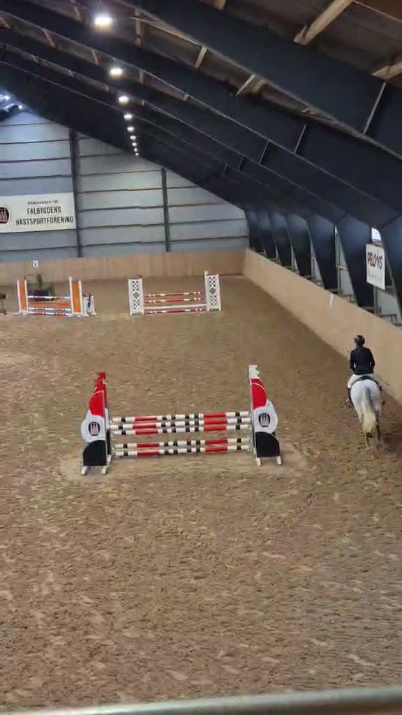 Hoppning hästar till salu: Storhoppande maxad D-Ponny - Video 2