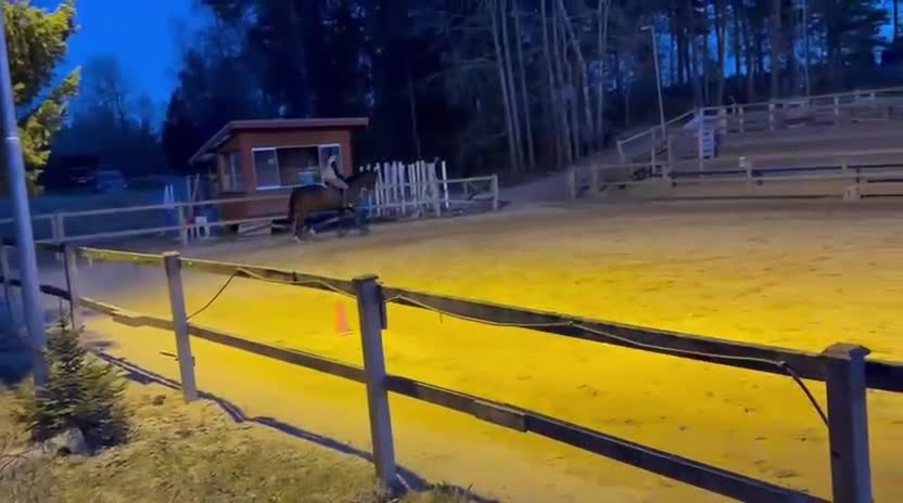  medryttarhäst sökes: Letar medryttare/skötare häst💕 i Vagnhärad - Video 1