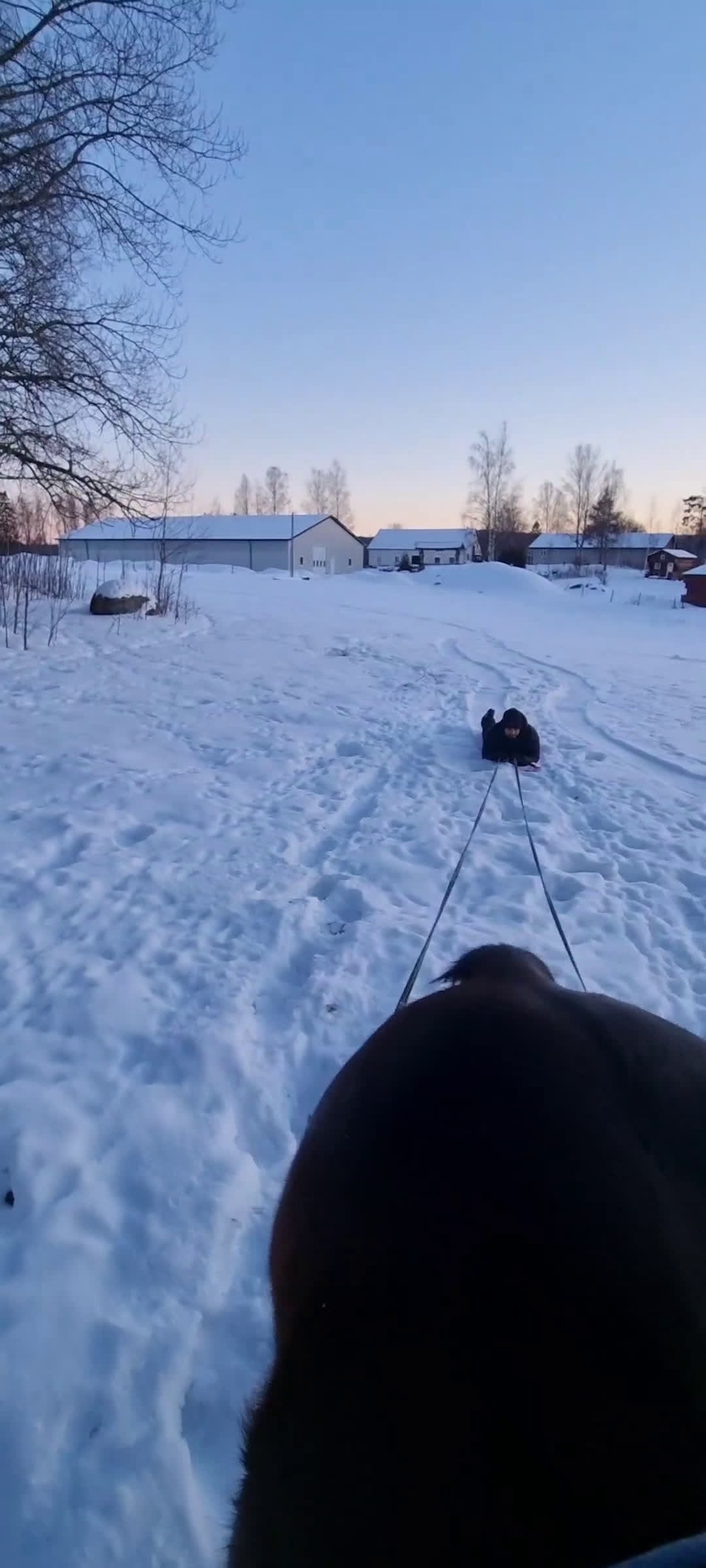  stallplats finnes: Lösdrift Eller Box - Video 2