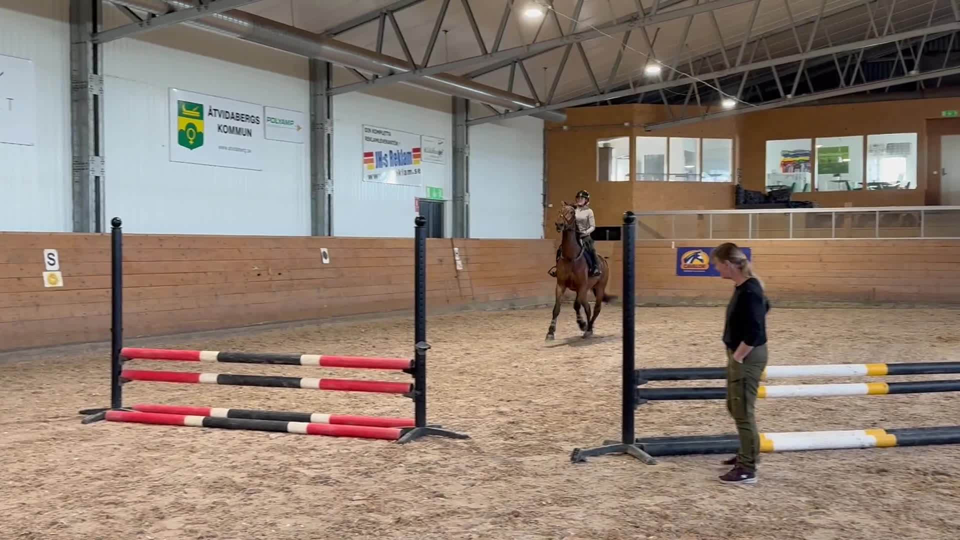 Hoppning hästar till salu: SWB valack  - Video 1
