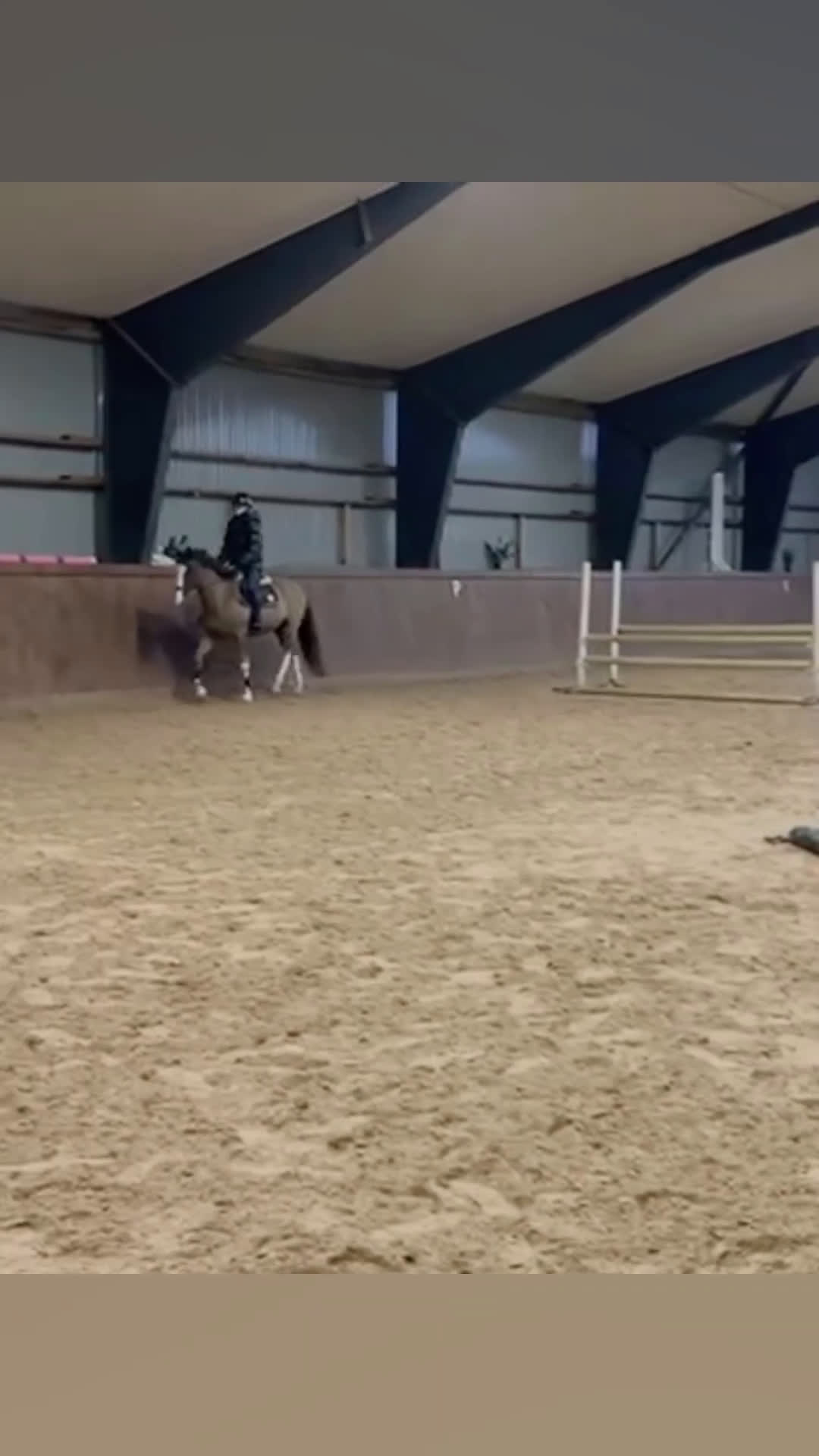 Allround hästar till salu: Trevlig maxad D-ponny! i Laholm - Video 1