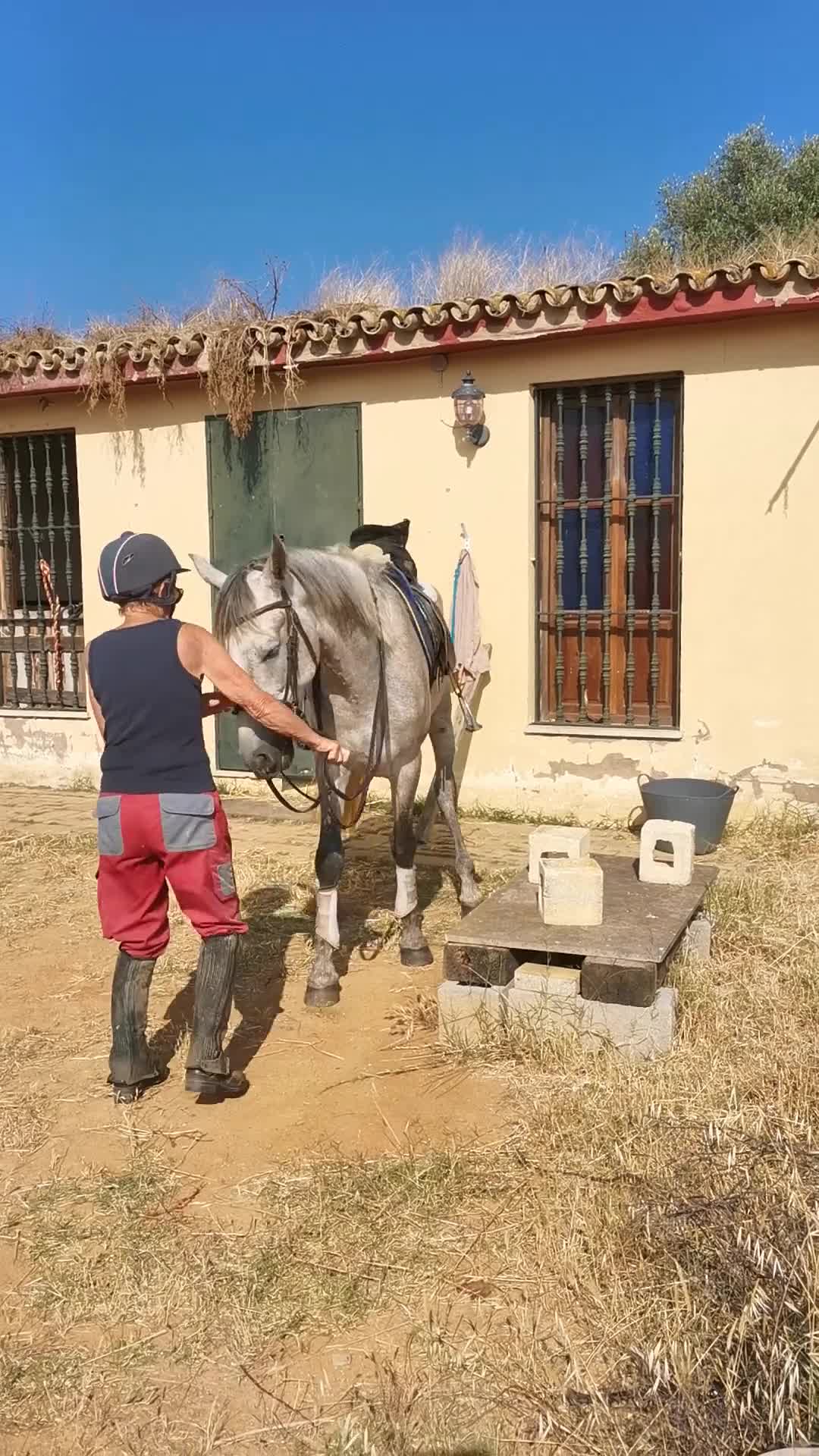 Working Equitation hästar till salu: Fin allround PRE valack. Korrekt o intelligent - Video 2