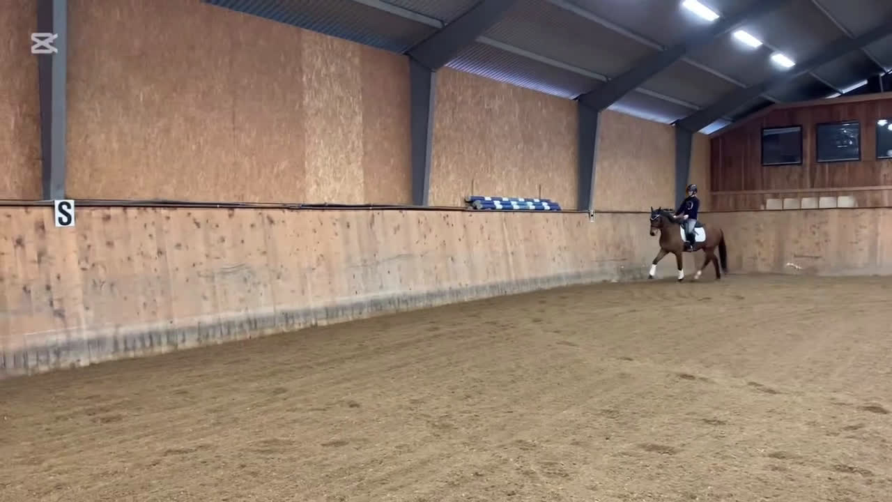 Allround hästar till salu: ⭐️ Lovande allroundponny ⭐️ (nu annons med filmer) i Össjö - Video 4