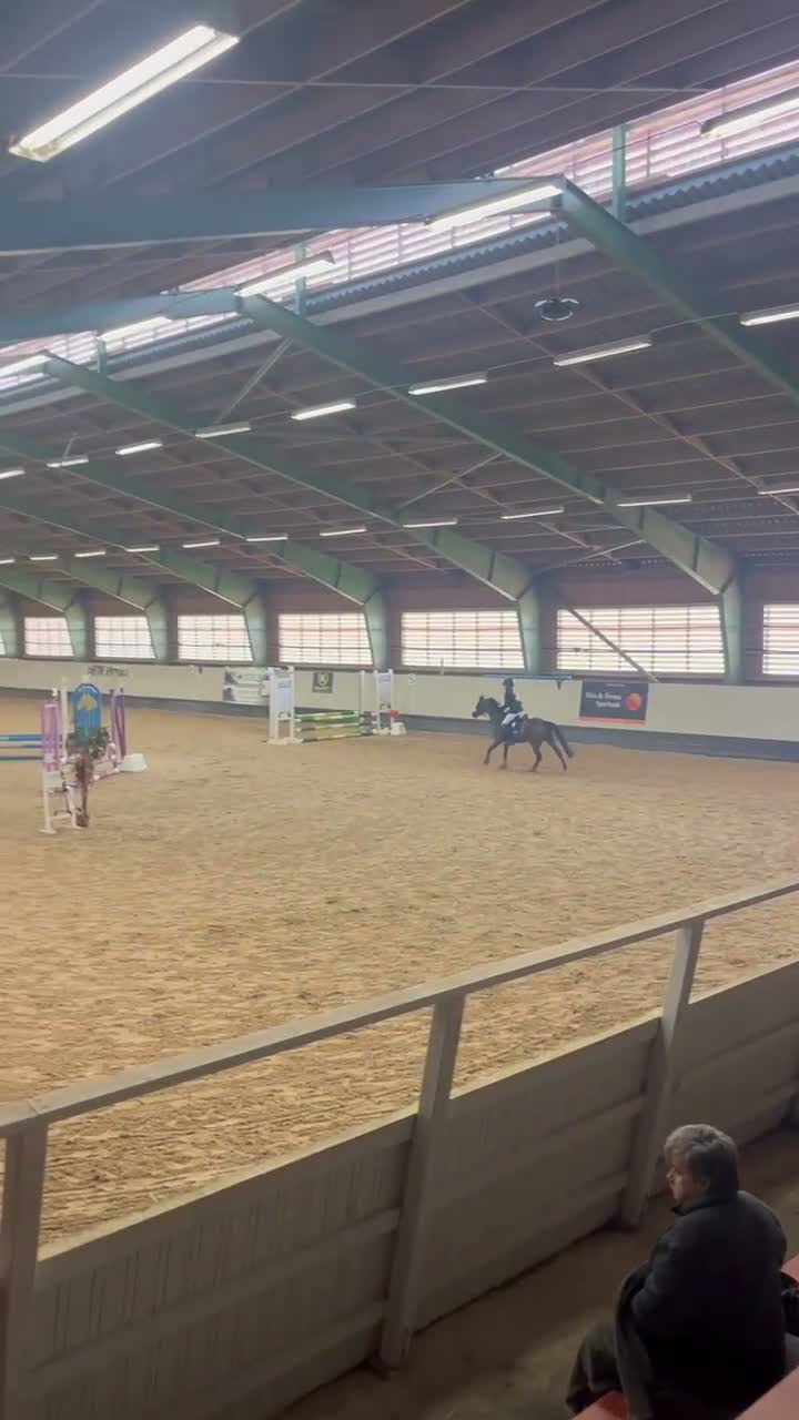 Hoppning hästar till salu: Fantastisk ponny! - Video 1