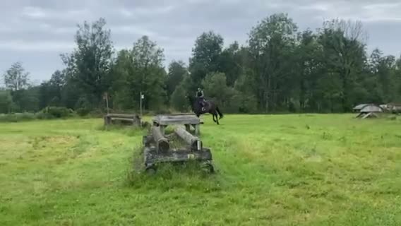 Allround hästar sökes: Söker häst - Video 2