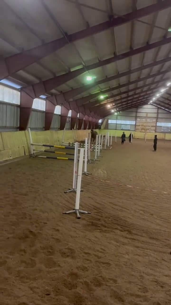 Hoppning hästar till salu: Min hjärte häst är till salu  - Video 2