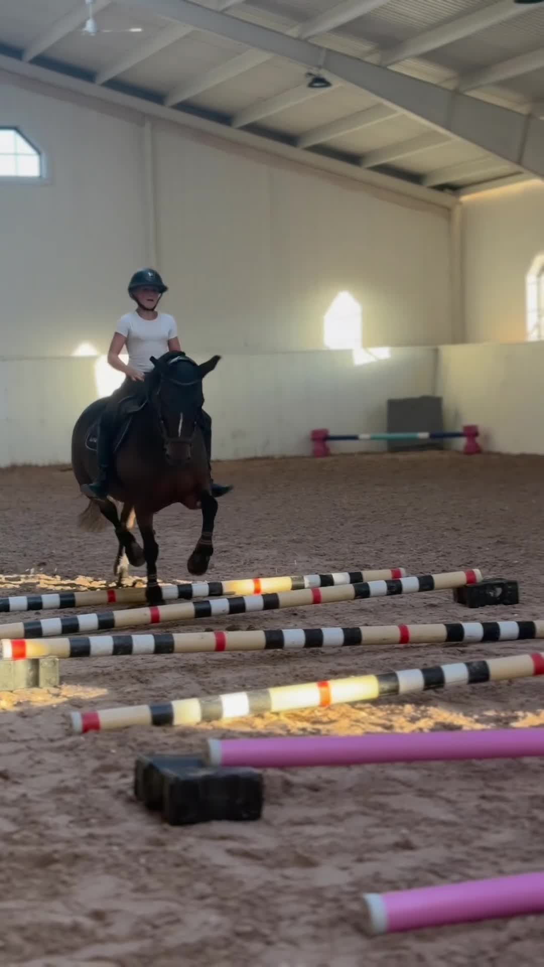 Hoppning hästar till salu: Super ponny - Video 2
