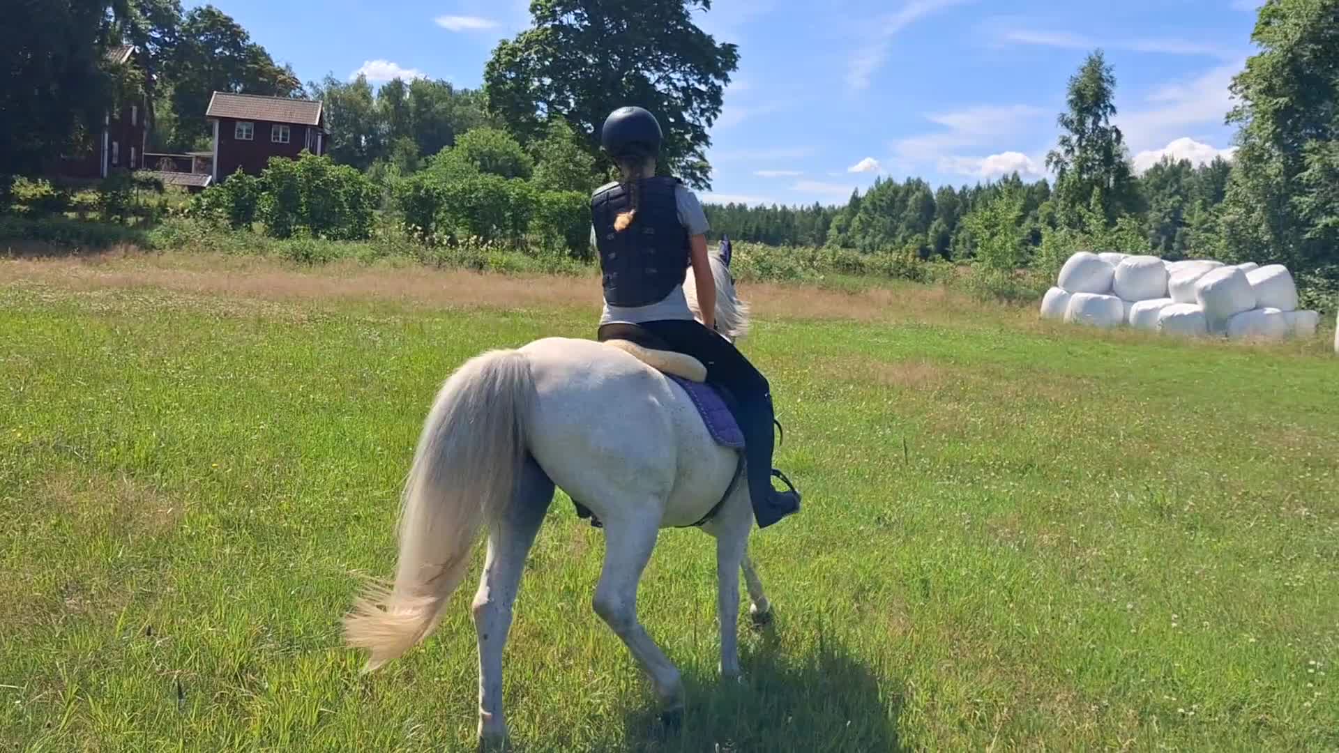 Allround hästar till salu: Charmig ponny i Storfors - Video 1