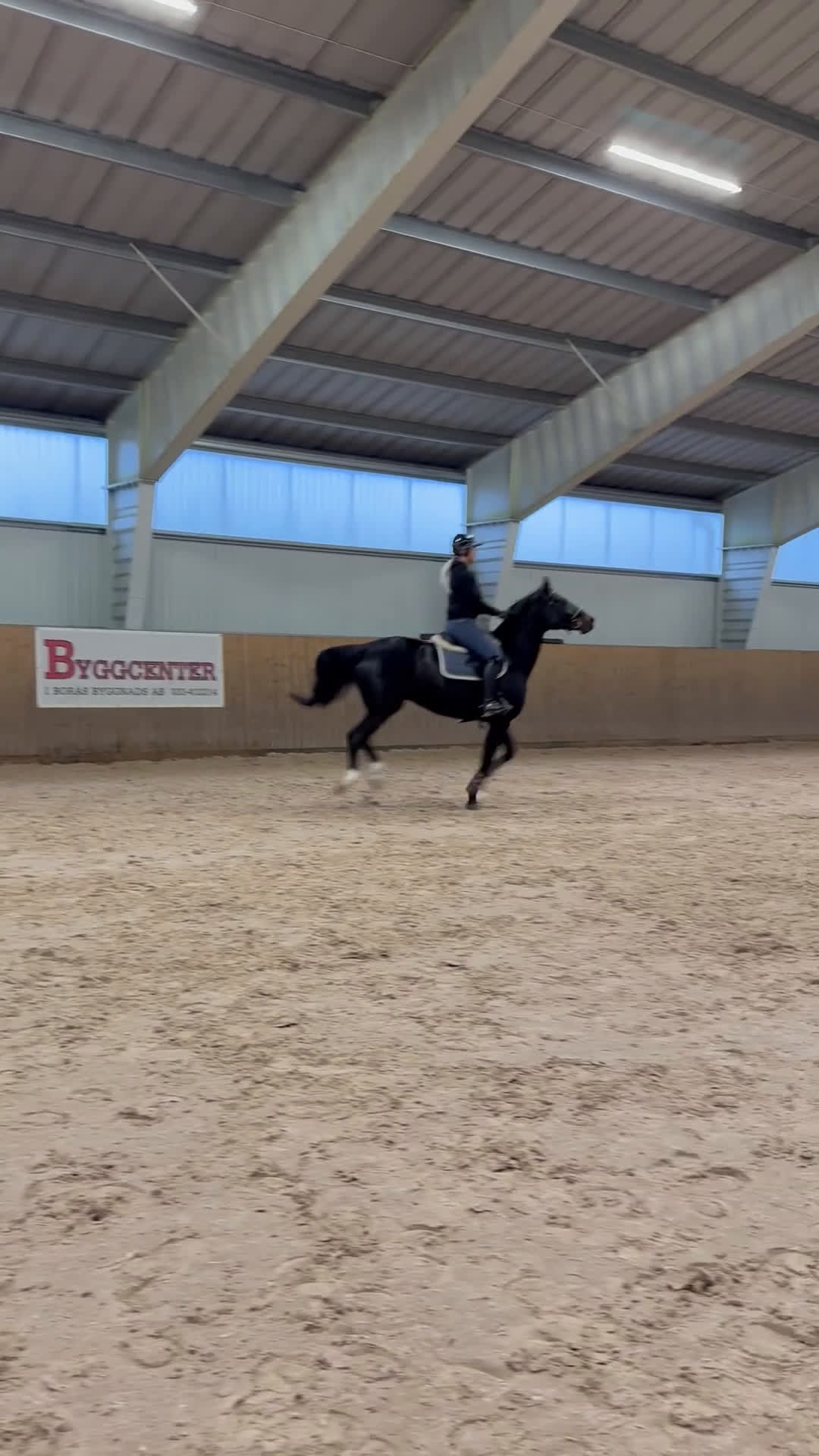 Hoppning hästar till salu: Sto med kapacitet i Vimmerby - Video 1