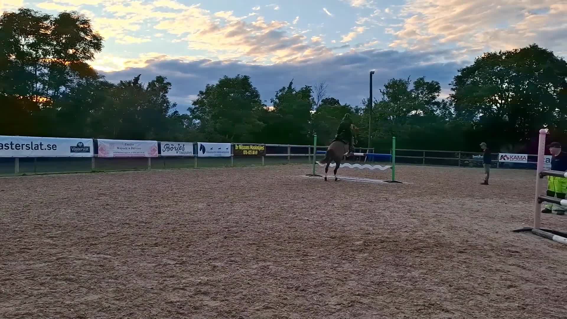 Hoppning hästar till salu: Sto som letar hinder! - Video 4