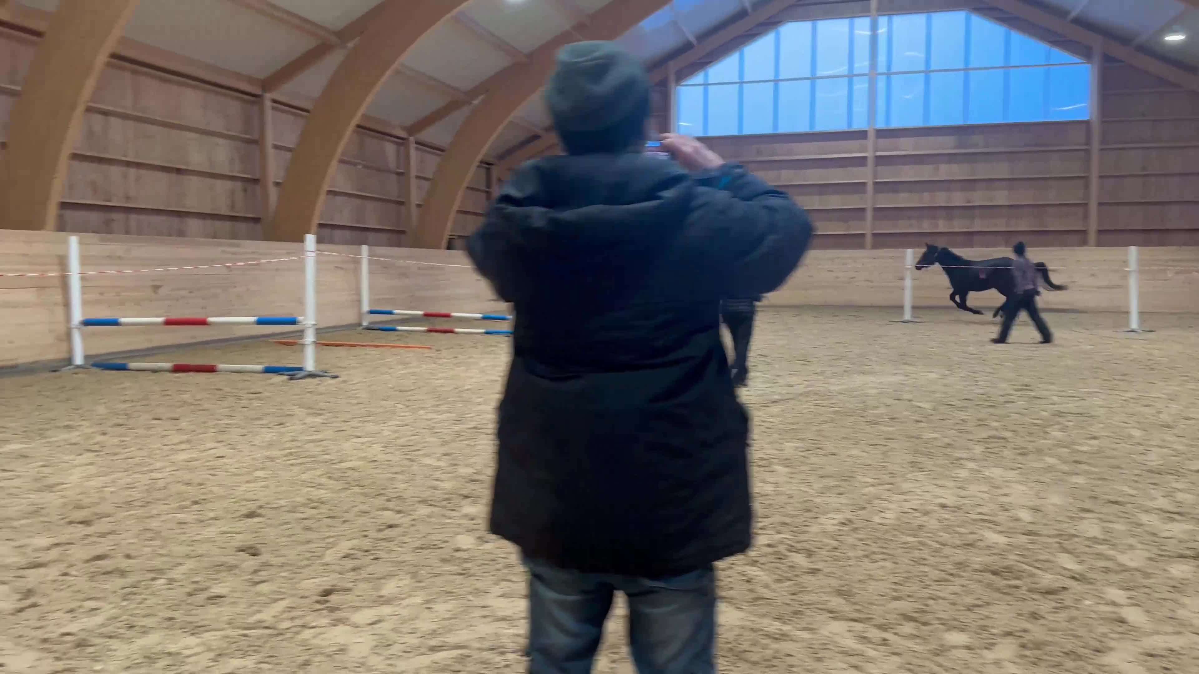 Hoppning hästar till salu: Toppstammad 5-åring - Video 4