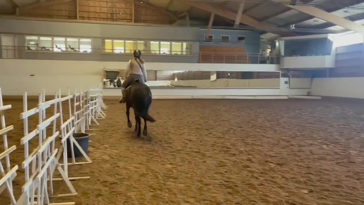  foderhäst finnes: Halv fodervärd / Medryttare  i Tenhult - Video 2