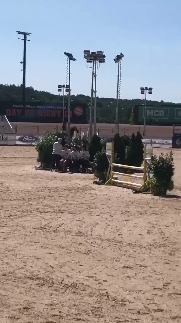 Allround hästar till salu: D- ponny med power och kapacitet! - Video 3
