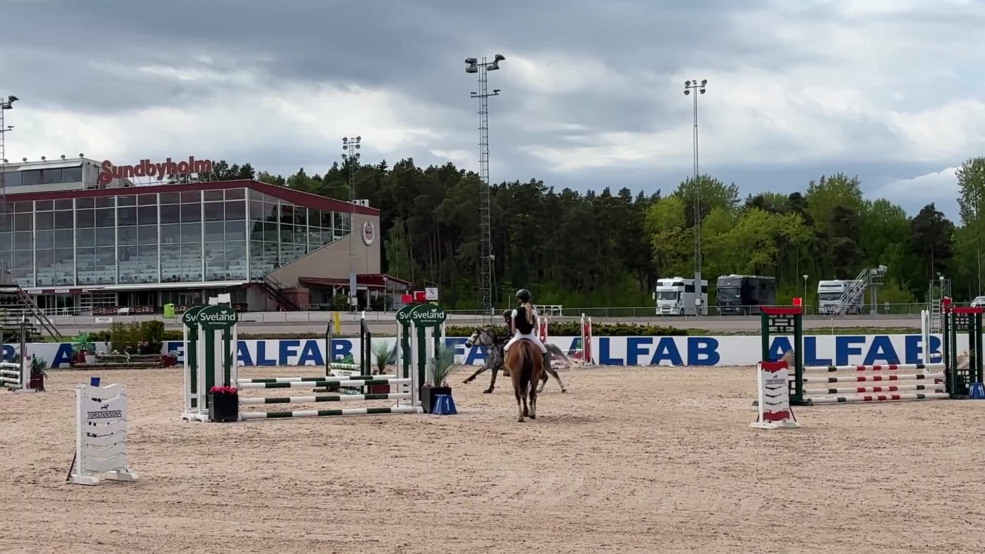 Hoppning hästar till salu: Drömponny med kapacitet  - Video 2