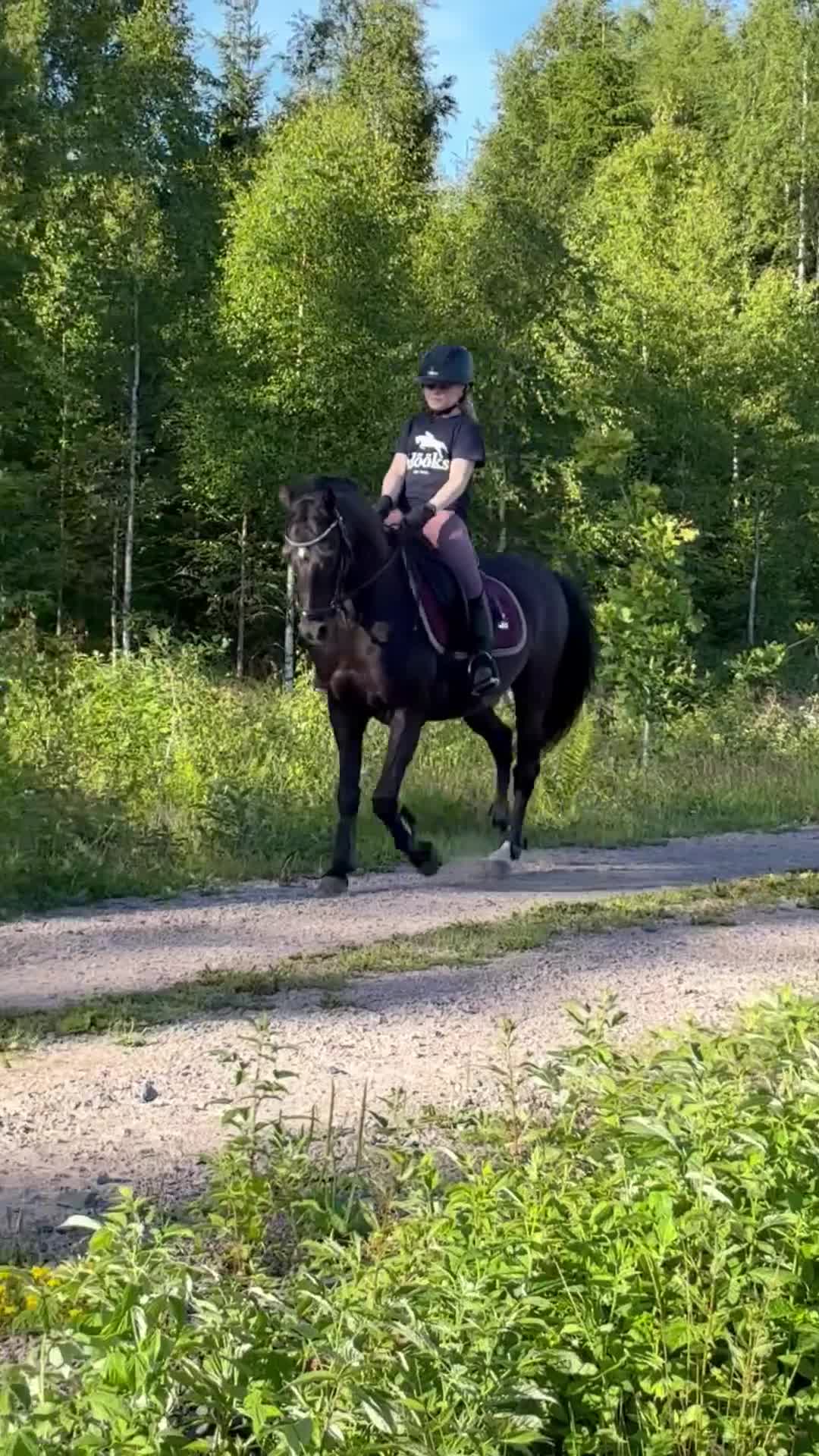 Dressyr hästar till salu: Vacker ponny med ett hjärta av guld  i Tranås - Video 3