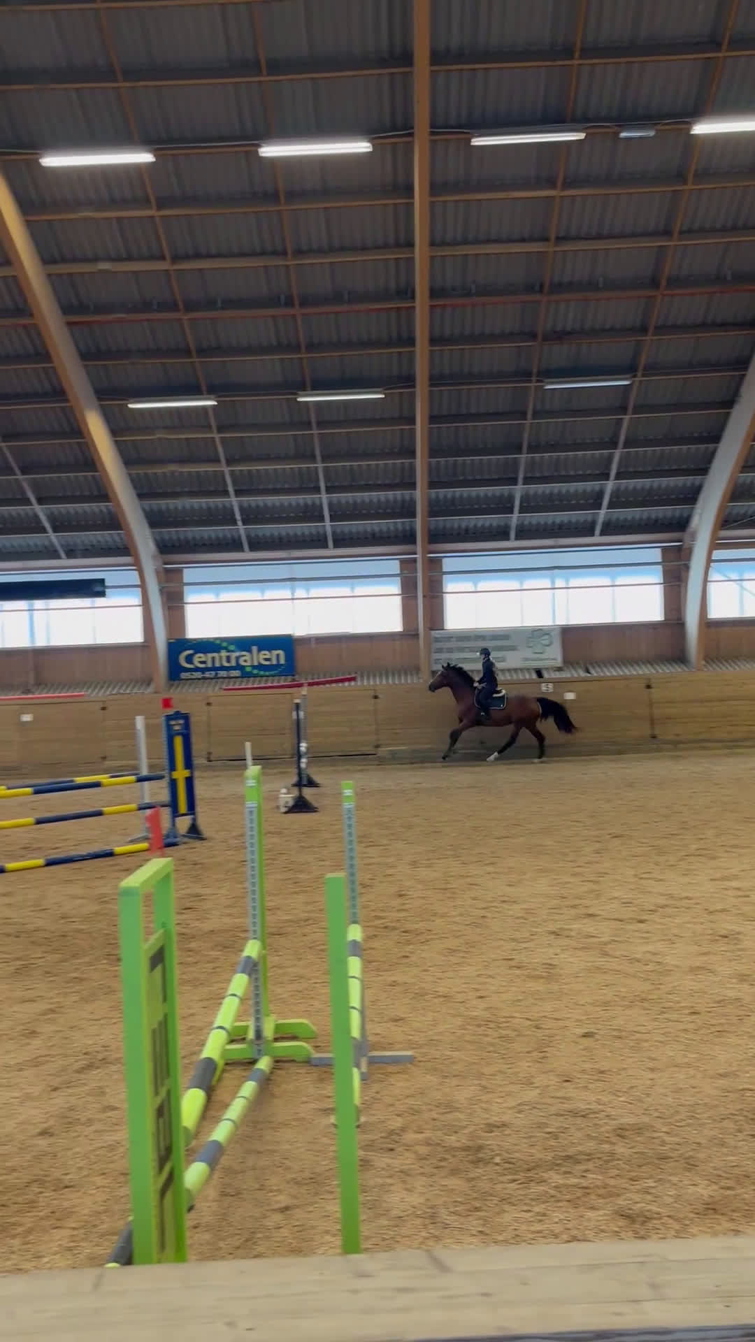 Allround hästar till salu: Kvalitetssto🌟 - Video 2