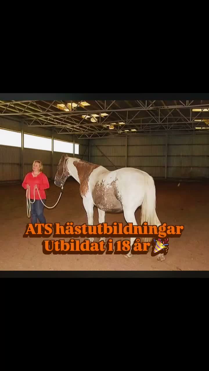  hästservice finnes: Kurs i cirkulationsmassage och hästpsykologi - Video 1