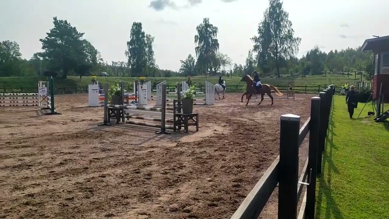 Allround hästar till salu: Vackert sto  - Video 2