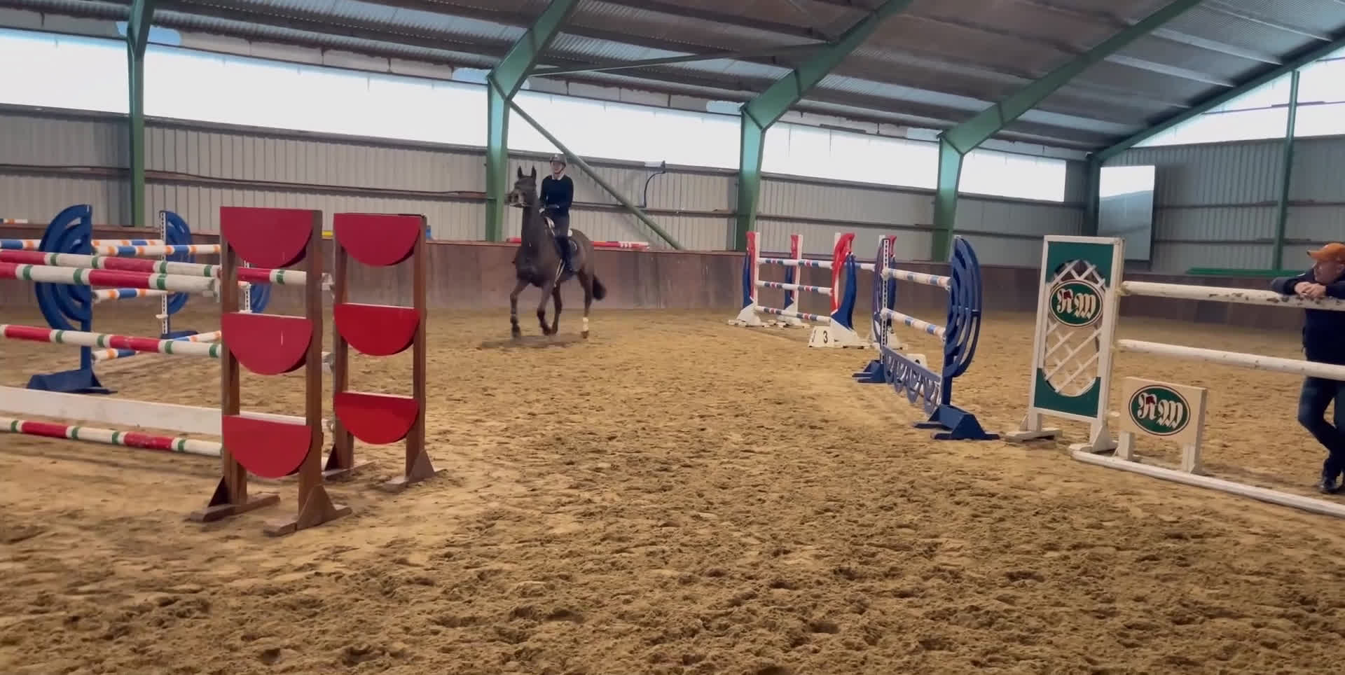 Hoppning hästar till salu: Hopp-Stjärna med stor personlighet  i Billdal - Video 1