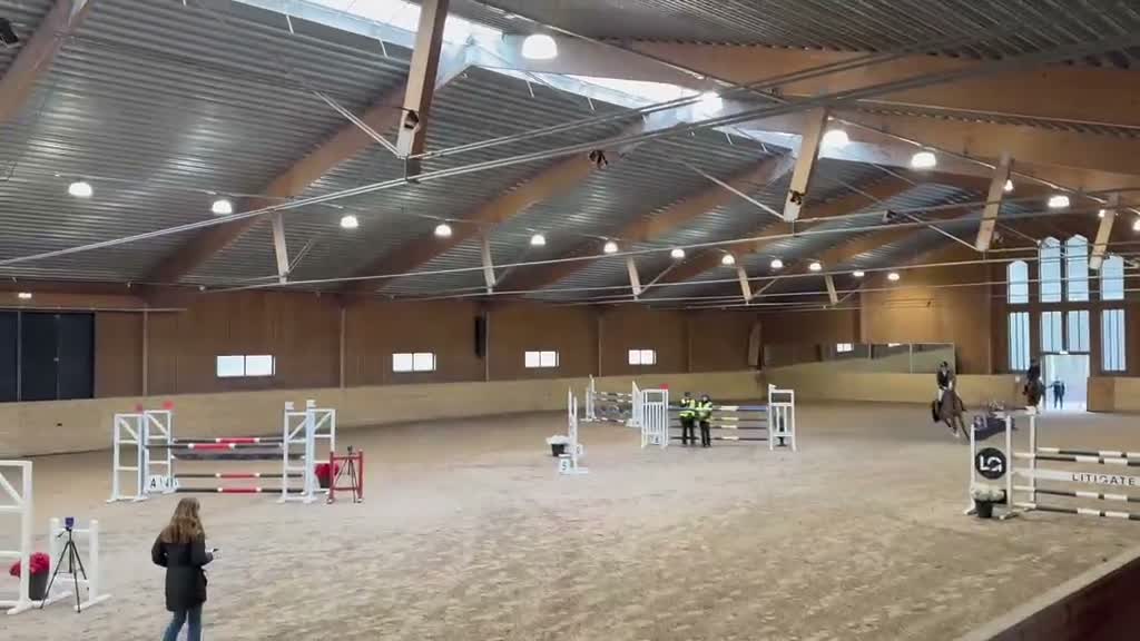 Hoppning hästar till salu: Bästa vän i vardag och på tävling - Video 2