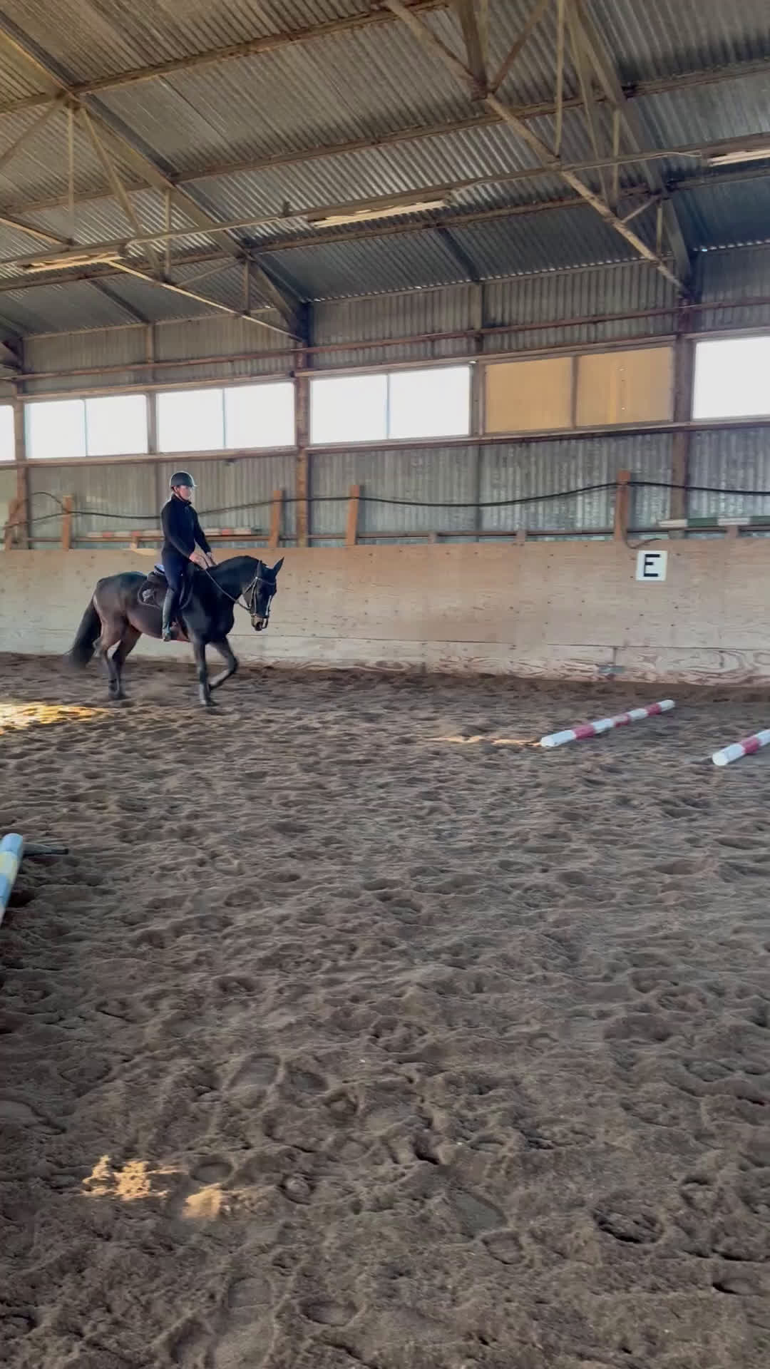 Allround hästar till salu: Godhjärtad Framtidsponny  i Nora - Video 4