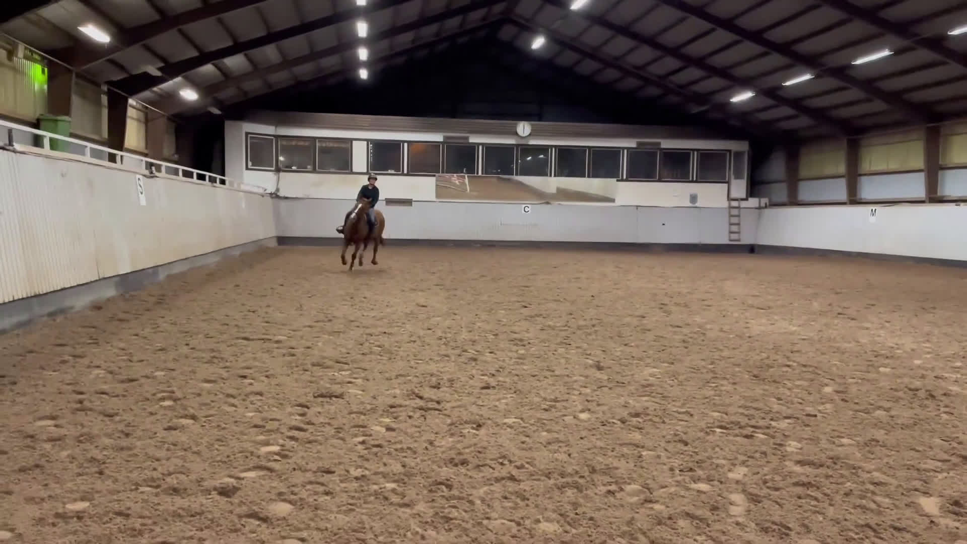 Allround hästar till salu: Fantastiskt fullblod i Löddeköpinge - Video 2