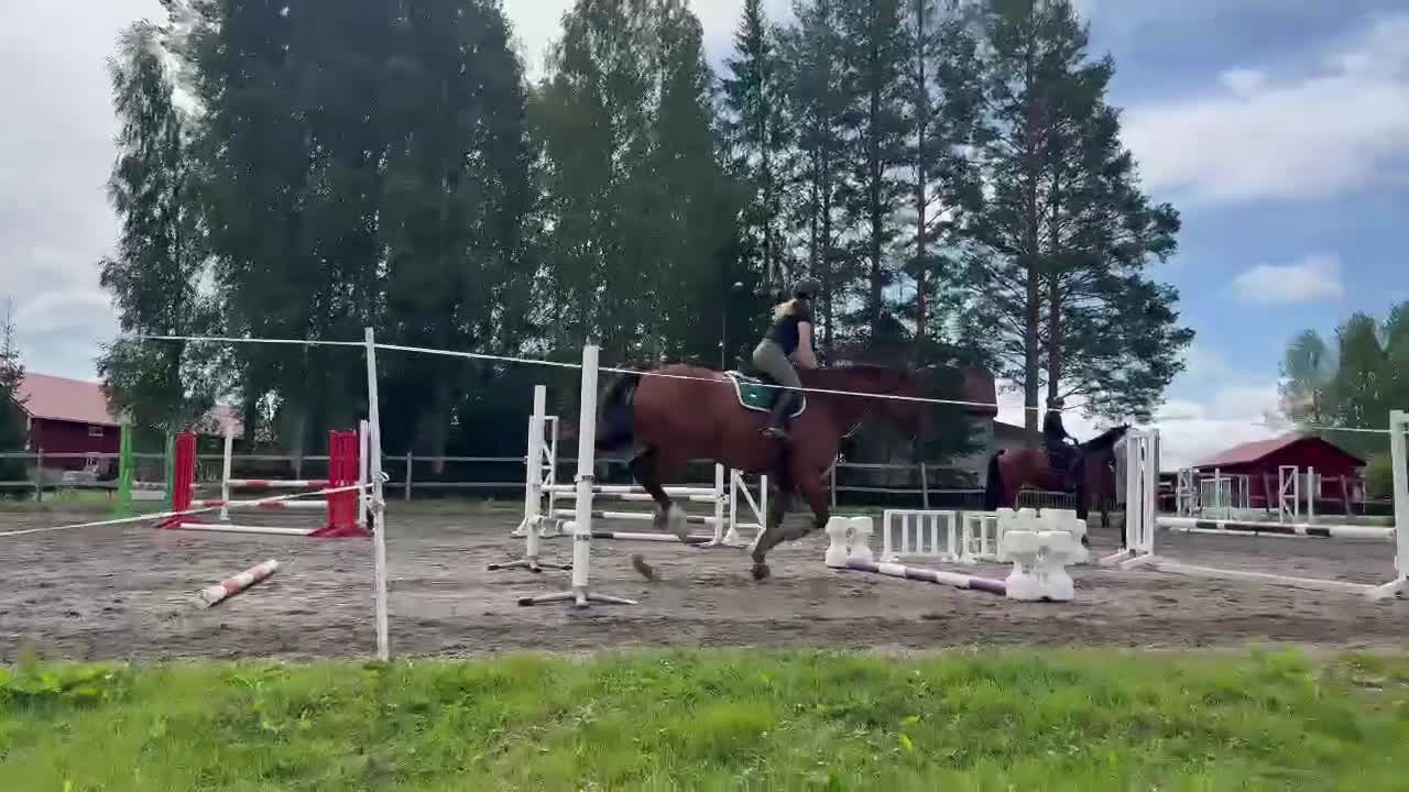 Hoppning hästar till salu: Fin Fyraåring  i Viksjöfors - Video 3