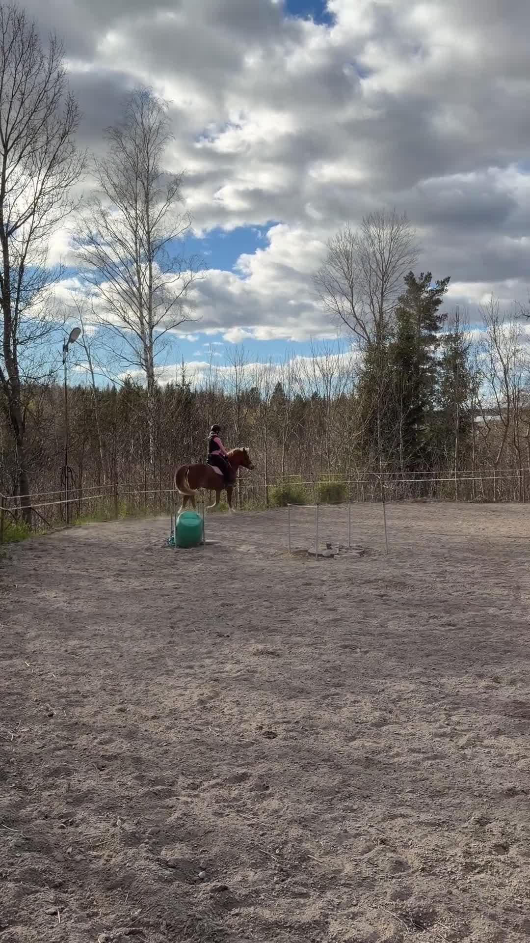Allround hästar till salu: C ponny valack född 2010 - Video 2