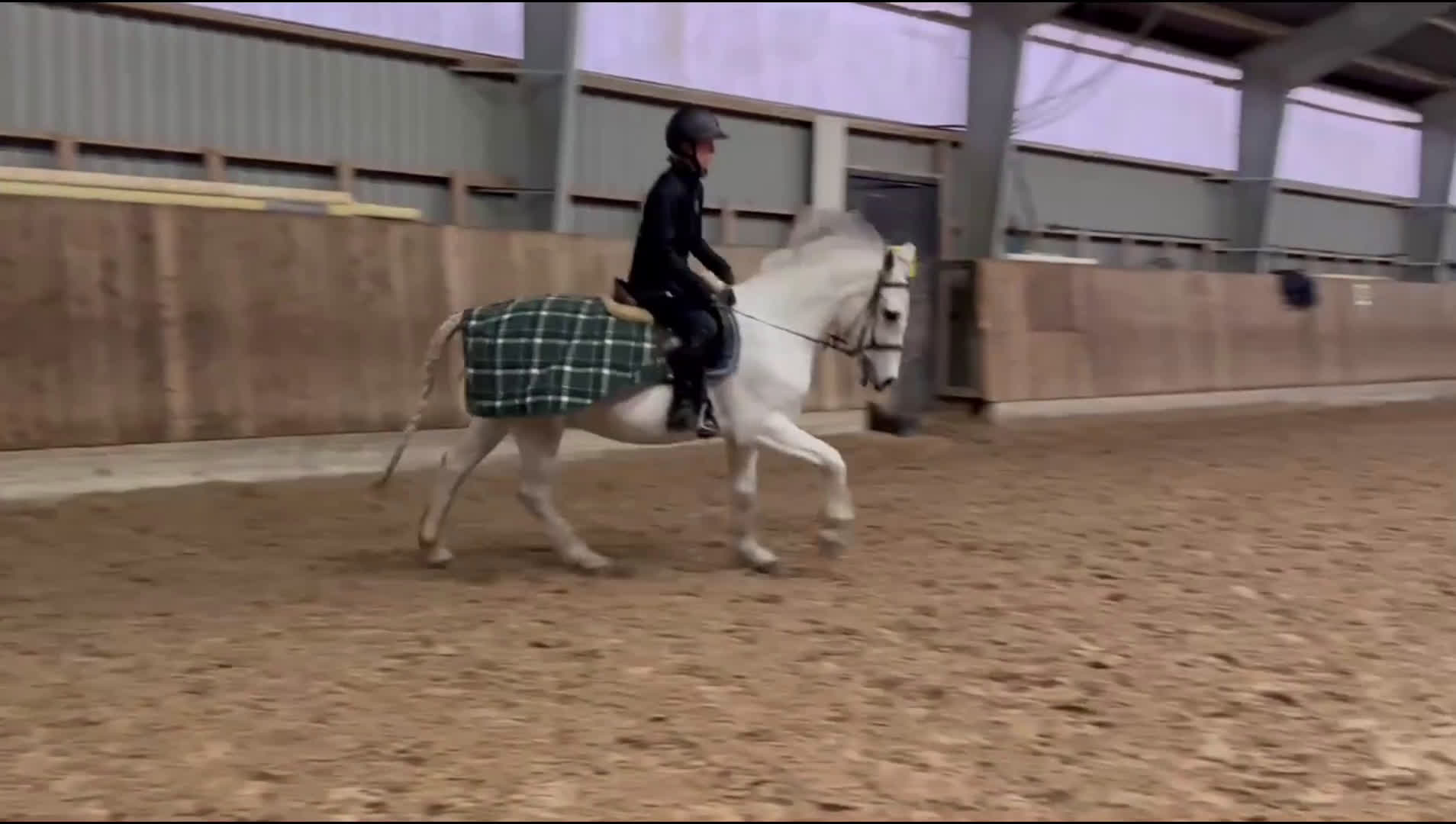 Allround hästar till salu: 🌟 Underbar D-ponny till salu – 12 år, valack,  🌟 i Höllviken - Video 2