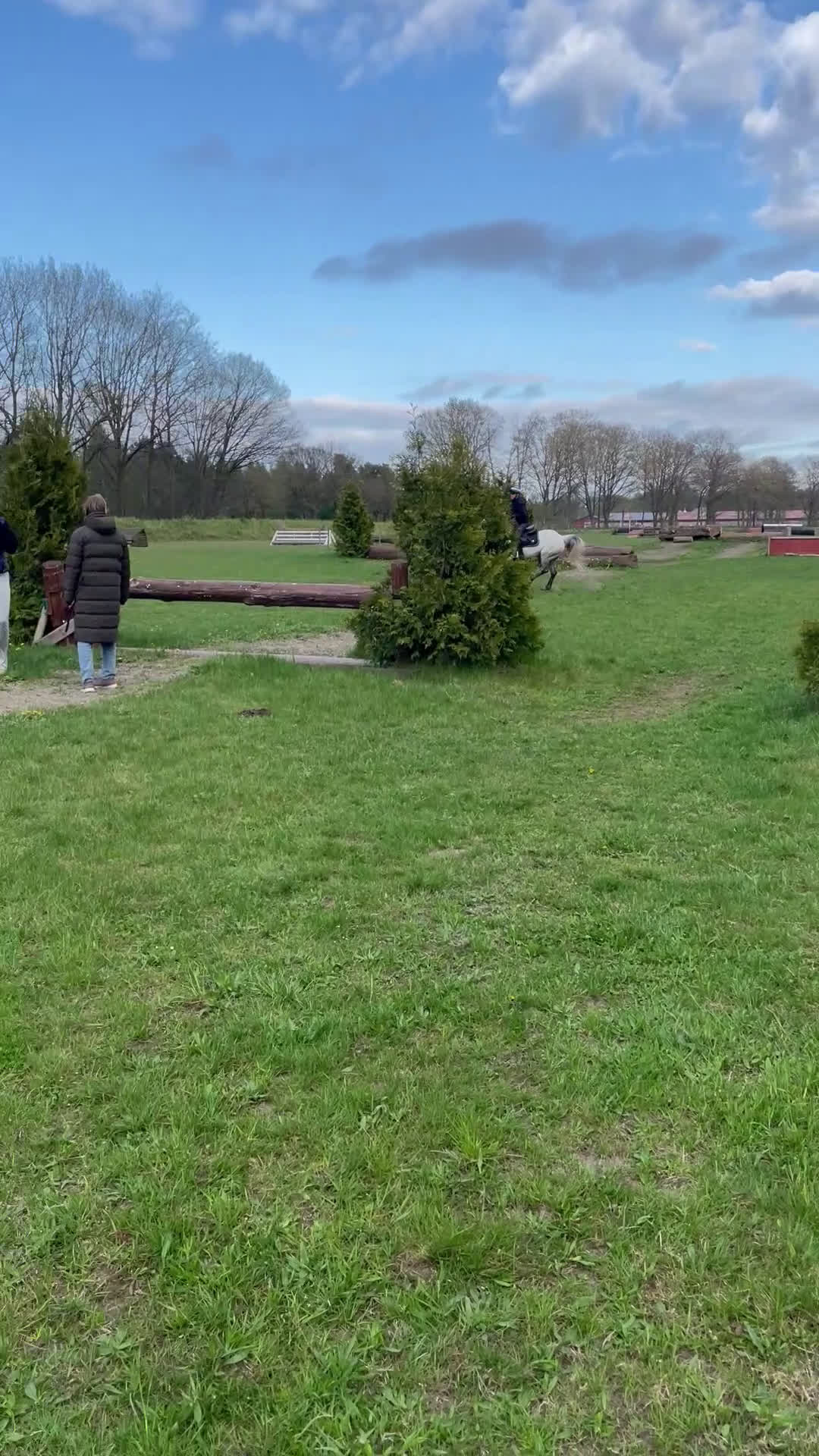 Allround hästar till salu: Cool Connemara för hopp, dressyr och terräng! - Video 3