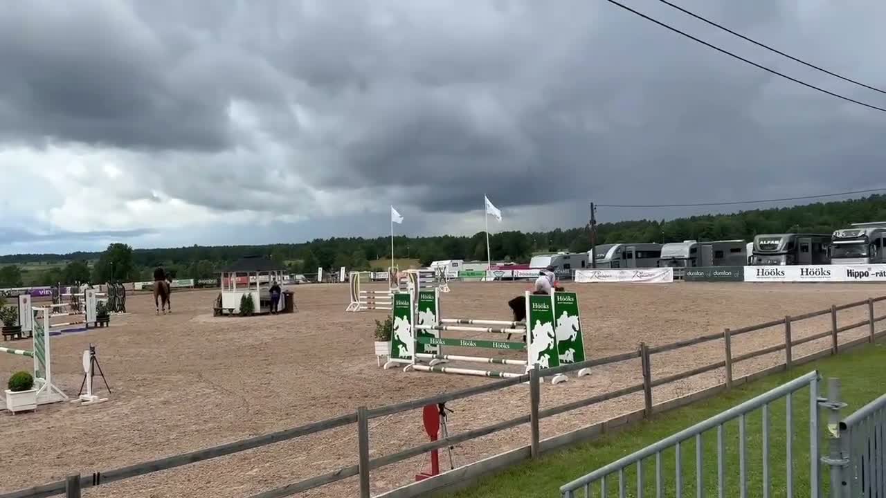 Hoppning hästar till salu: Sto med power - Video 3