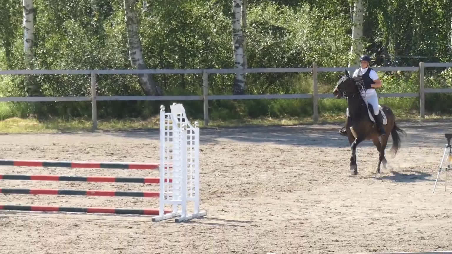 Allround hästar till salu:  Sansa (swb) - Video 1