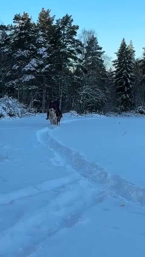  medryttarhäst finnes: Medryttare sökes mellan Märsta och Sigtuna  i Märsta - Video 1