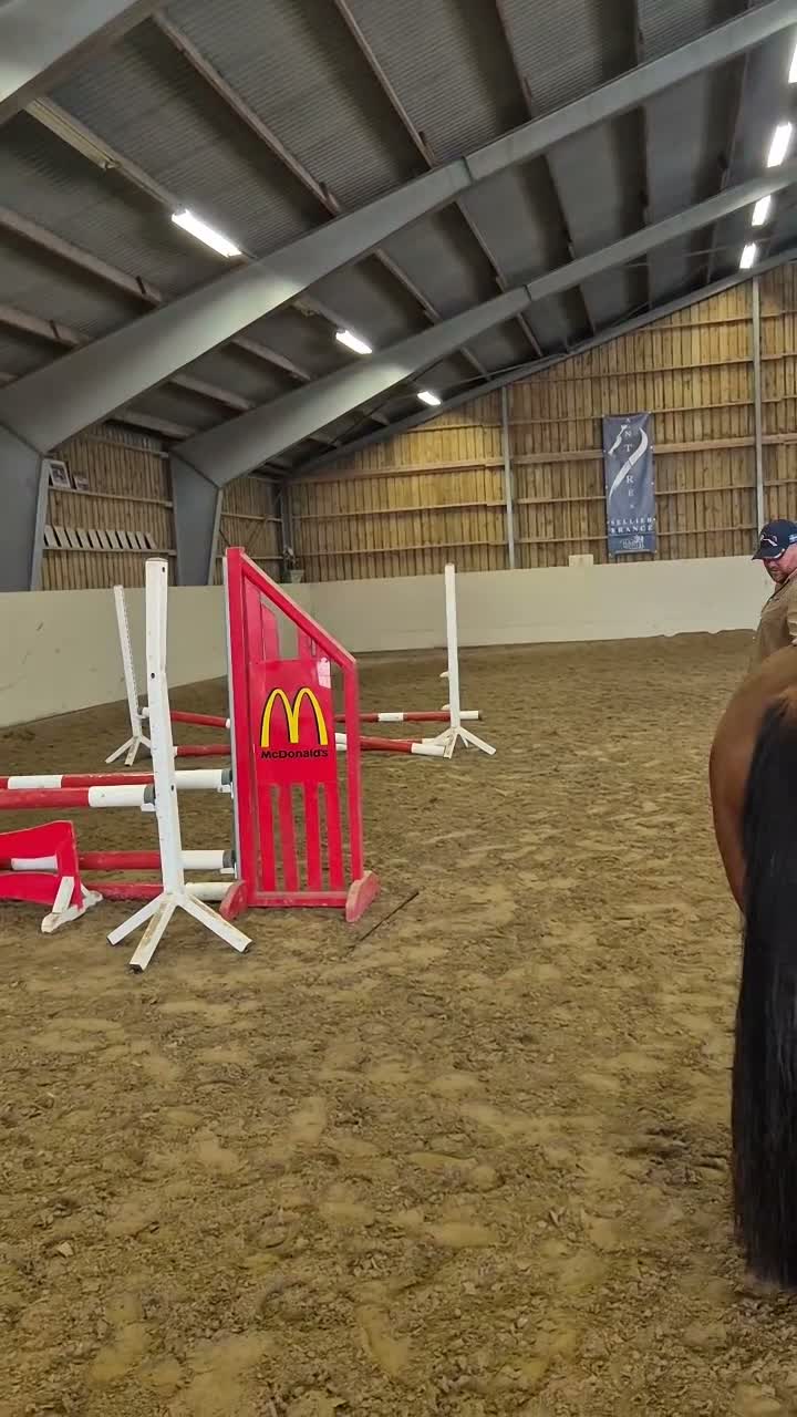 Allround hästar till salu: Fin D-Ponny - Video 3