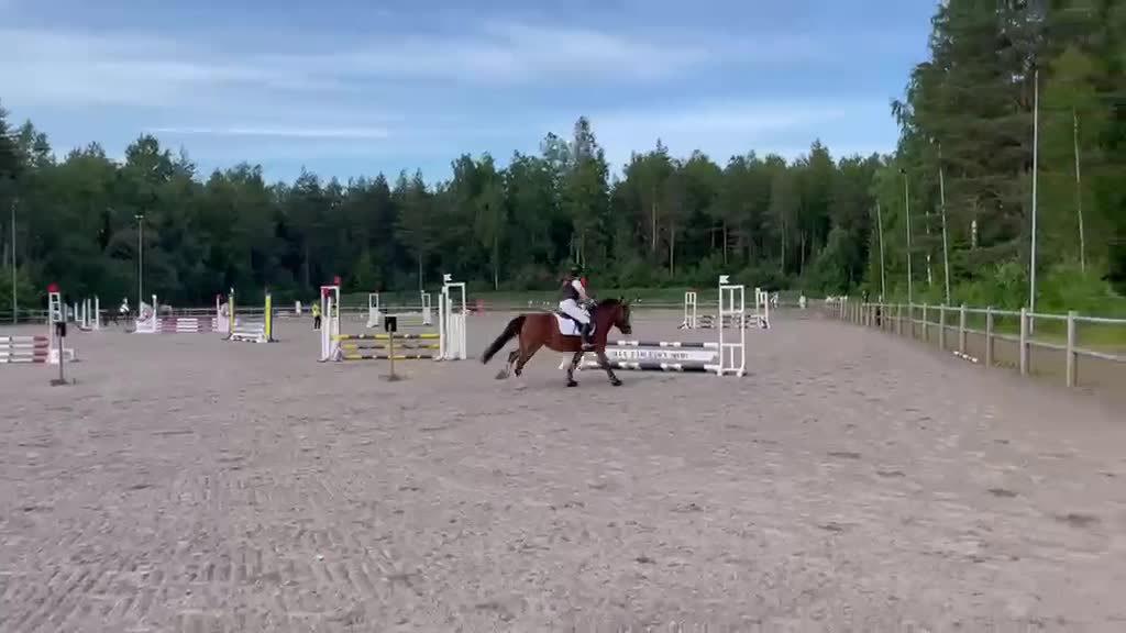 Allround hästar till salu: Maxad C-ponny - Video 4