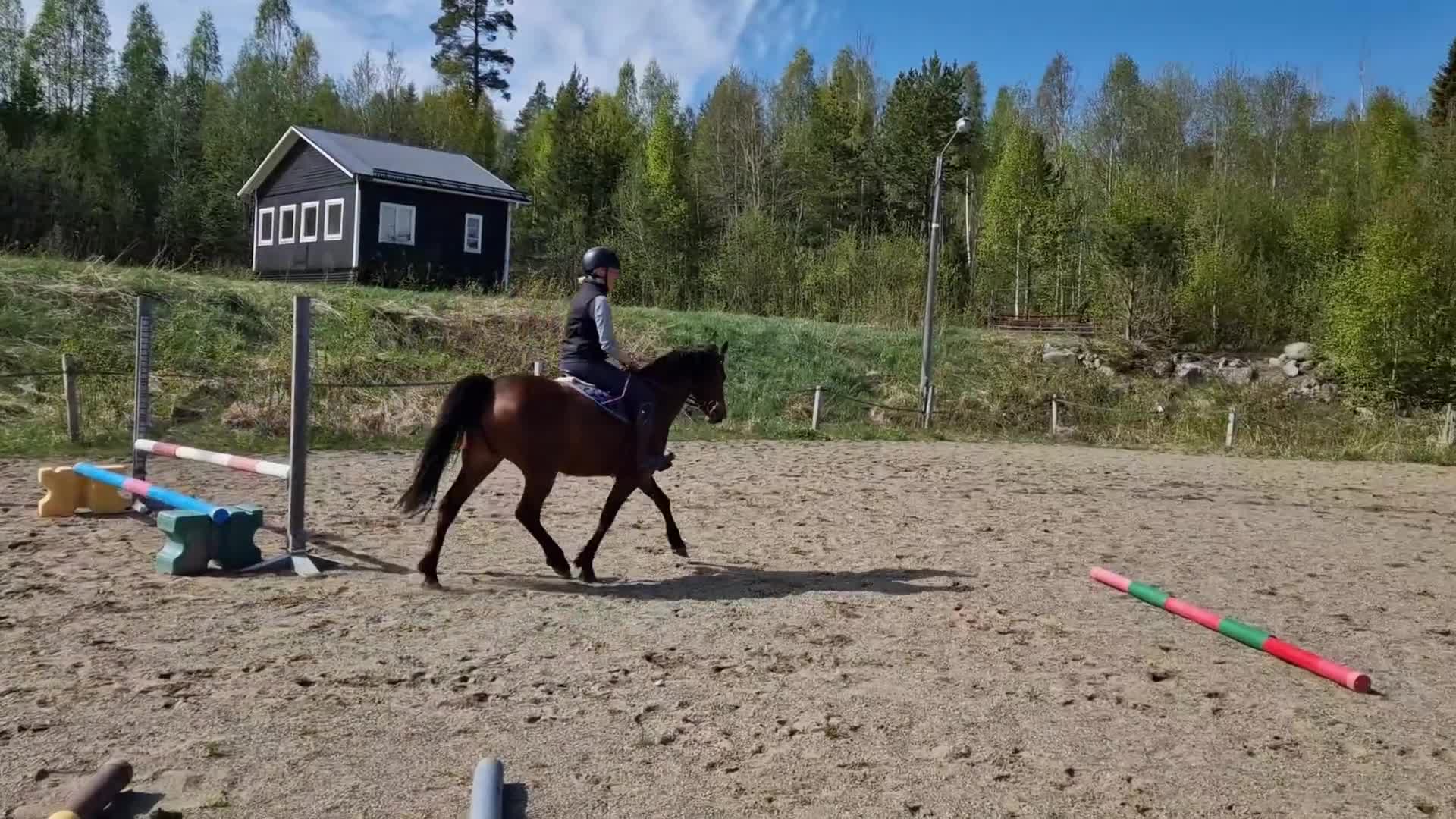 Hoppning hästar till salu: Supersnäll D-ponny i Kovland - Video 1