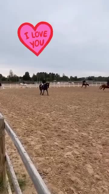 Allround hästar till salu: Perfekt läromästare  - Video 1