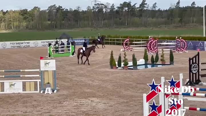 Hoppning hästar till salu: Sto med kapacitet  - Video 1