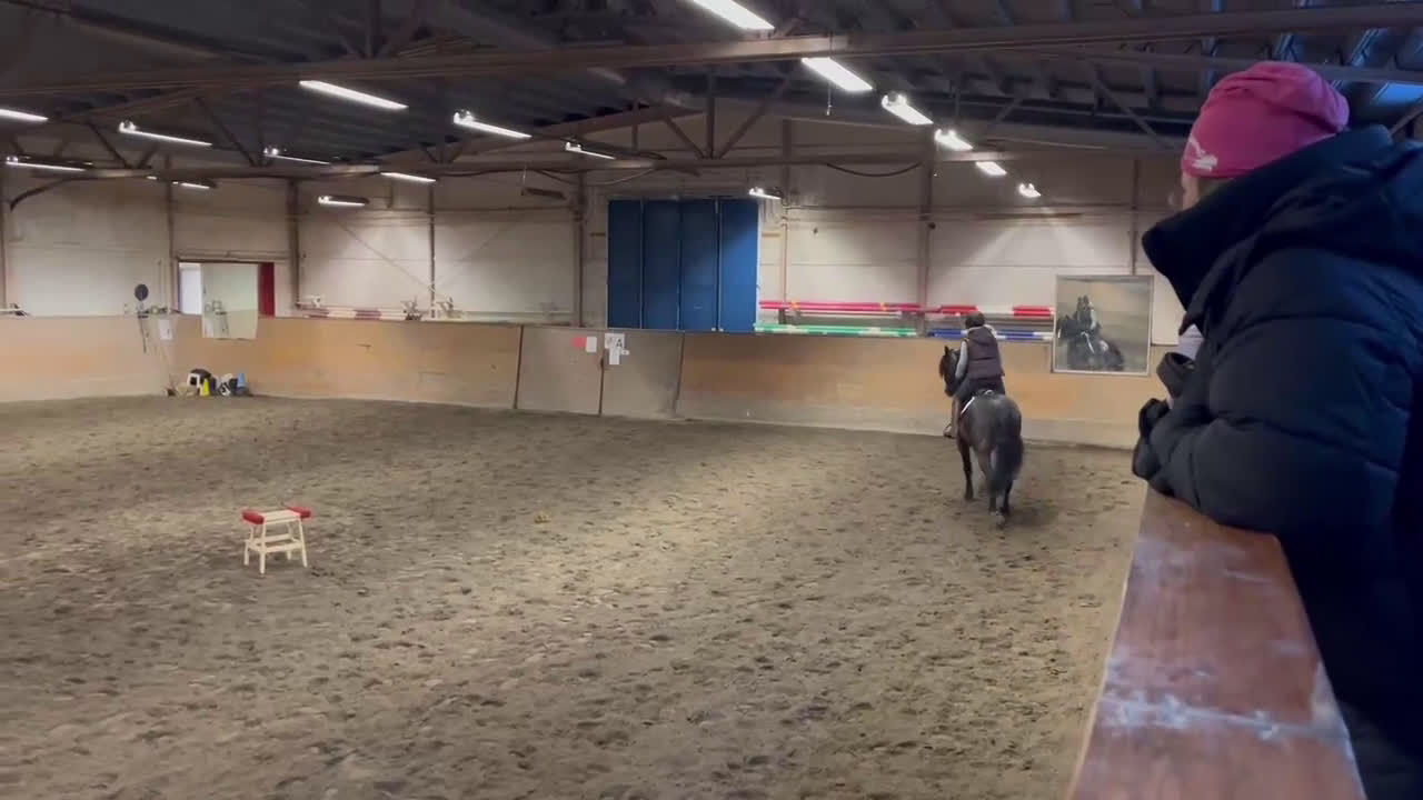 Dressyr hästar till salu: Riktig gentleman säljes! - Video 1